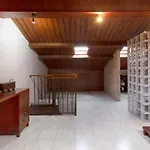 Duplex India * タコロンテ